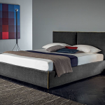 Lova LUIS. Felis